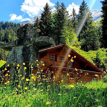 Alpenlodge Willigen Exterior photo