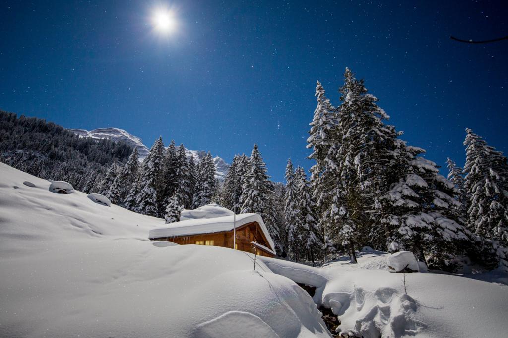 Alpenlodge Willigen Exterior photo