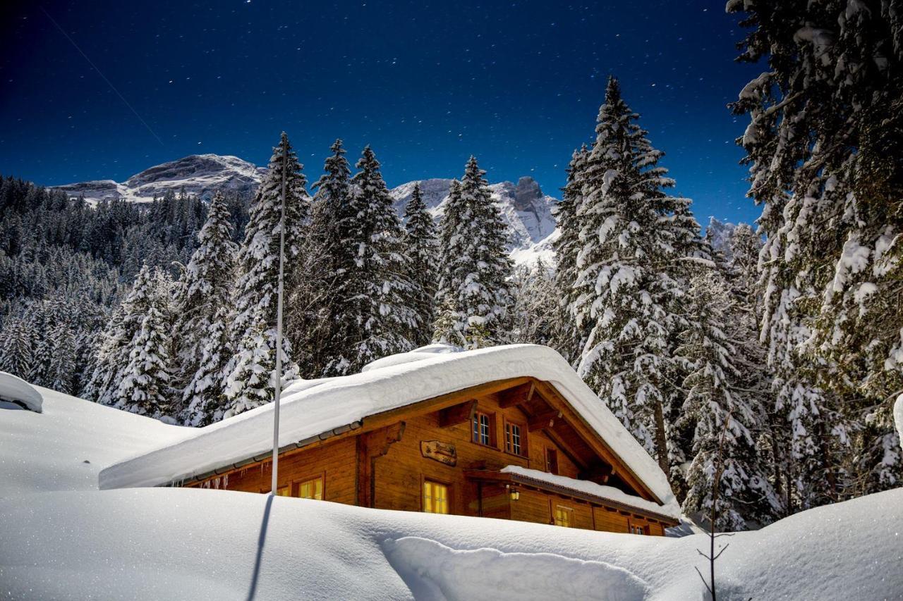 Alpenlodge Willigen Exterior photo