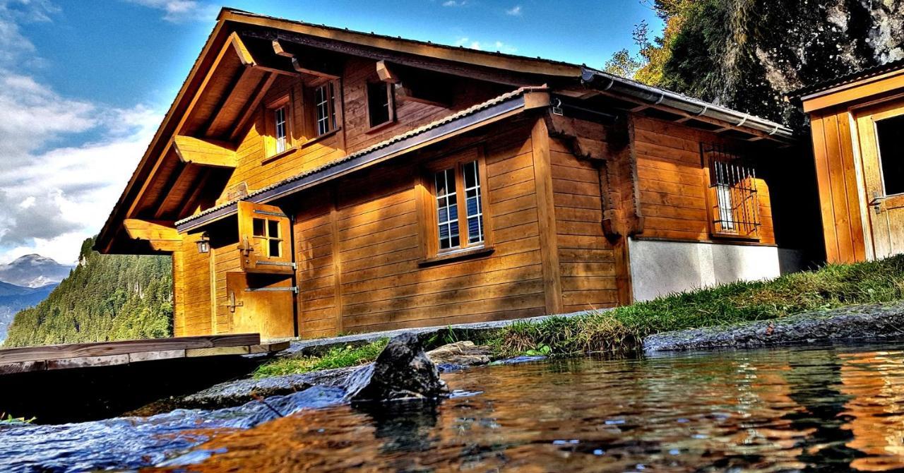 Alpenlodge Willigen Exterior photo