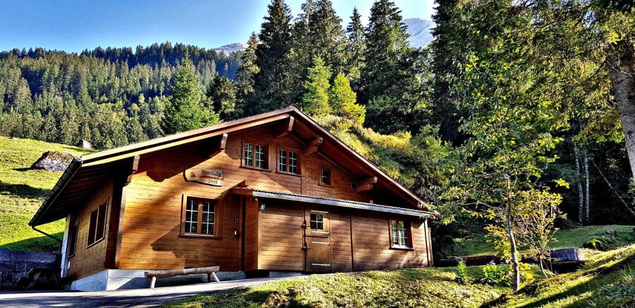 Alpenlodge Willigen Exterior photo