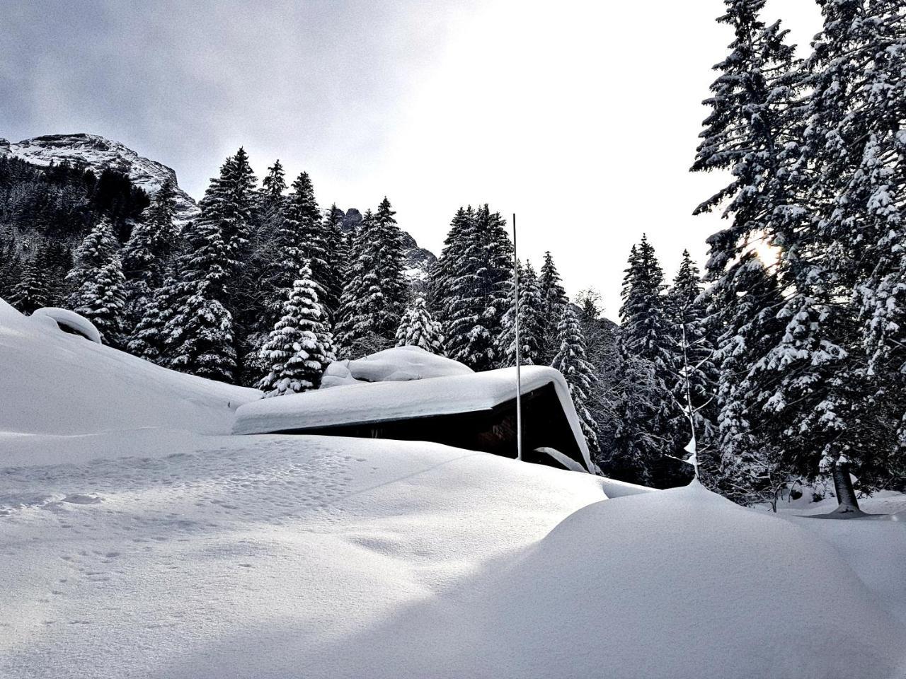 Alpenlodge Willigen Exterior photo