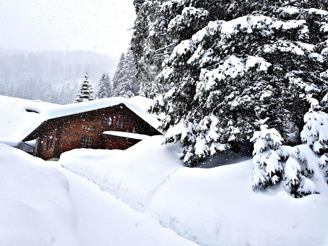 Alpenlodge Willigen Exterior photo
