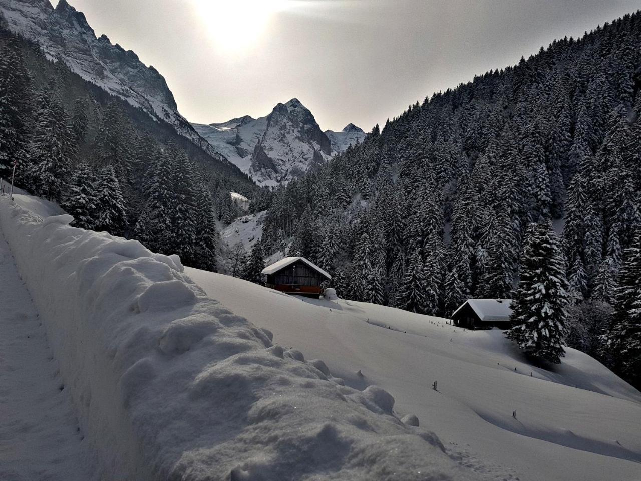Alpenlodge Willigen Exterior photo