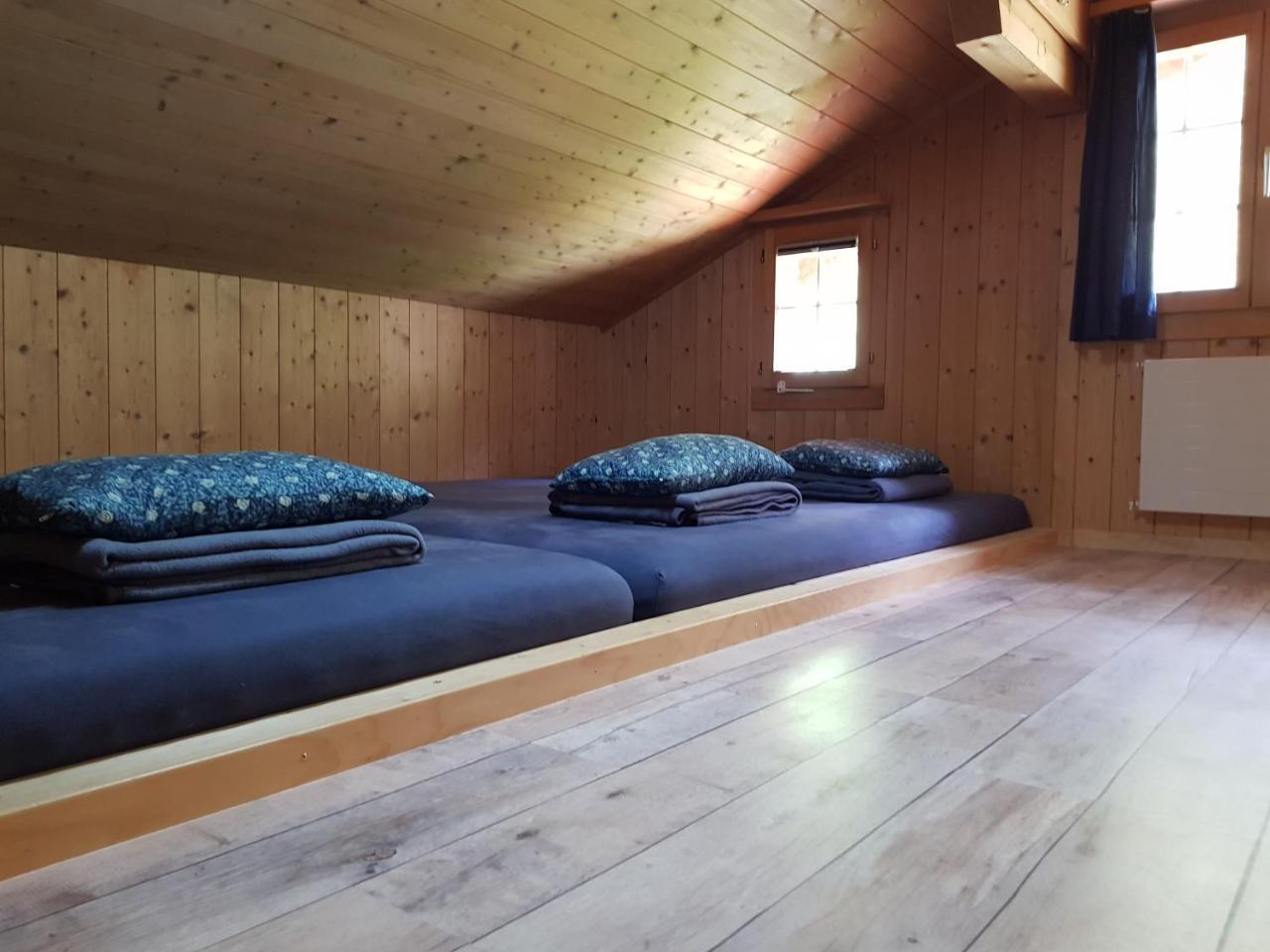 Alpenlodge Willigen Exterior photo