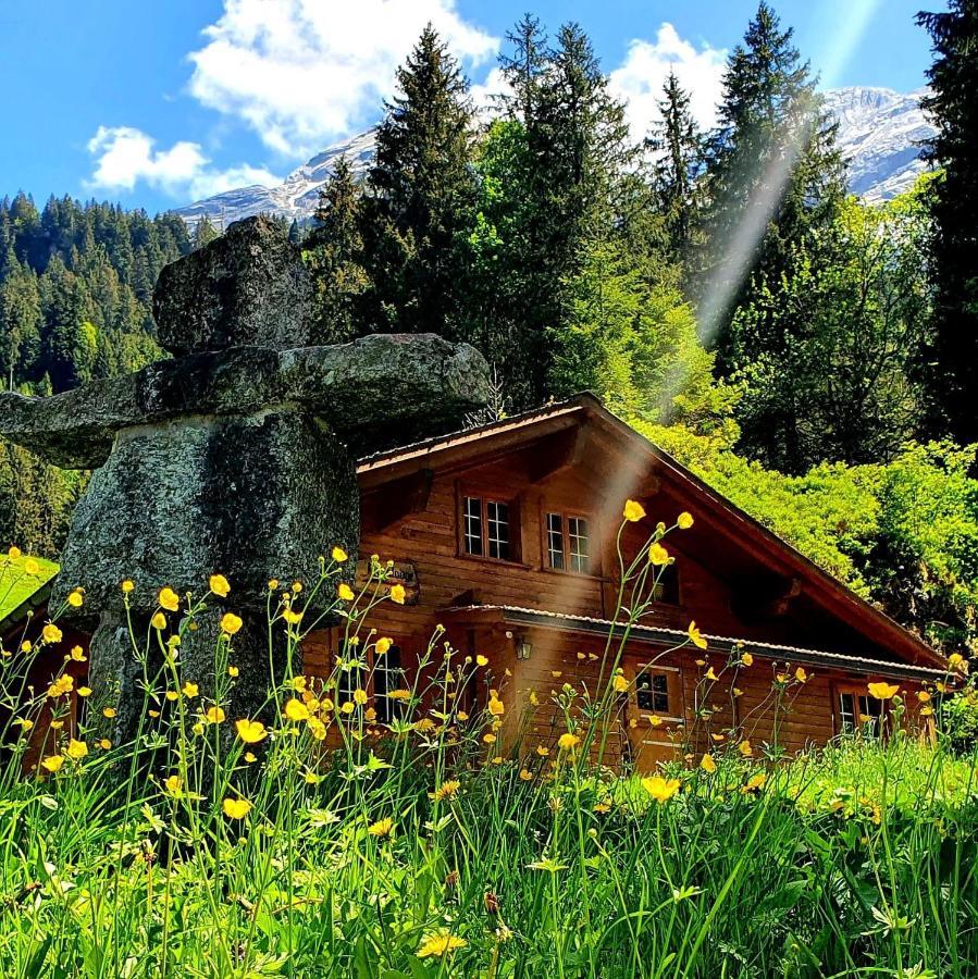 Alpenlodge Willigen Exterior photo